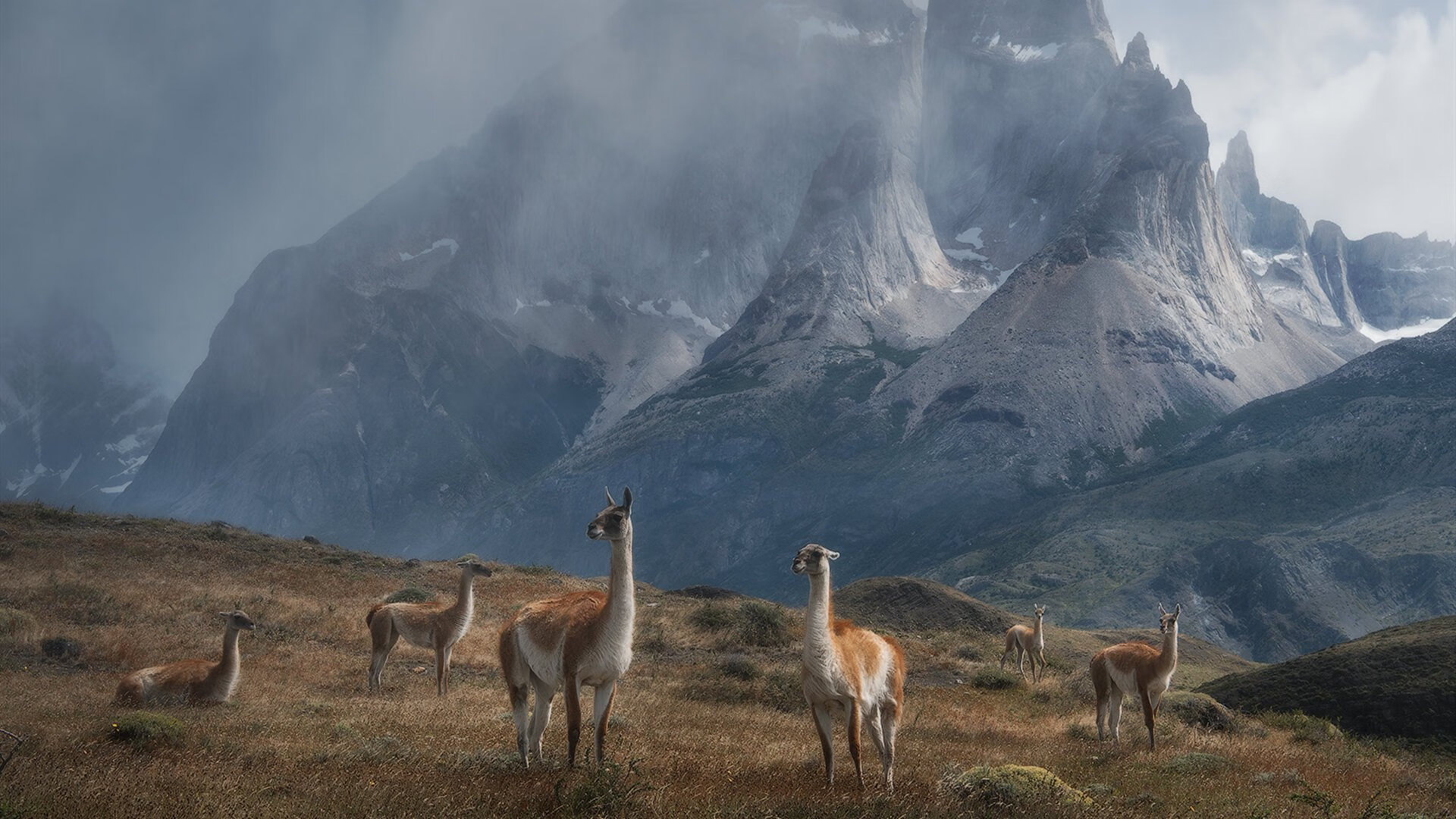 环保战役：绿色动力助推未来WRC，绿色环保行动活动项目有哪些