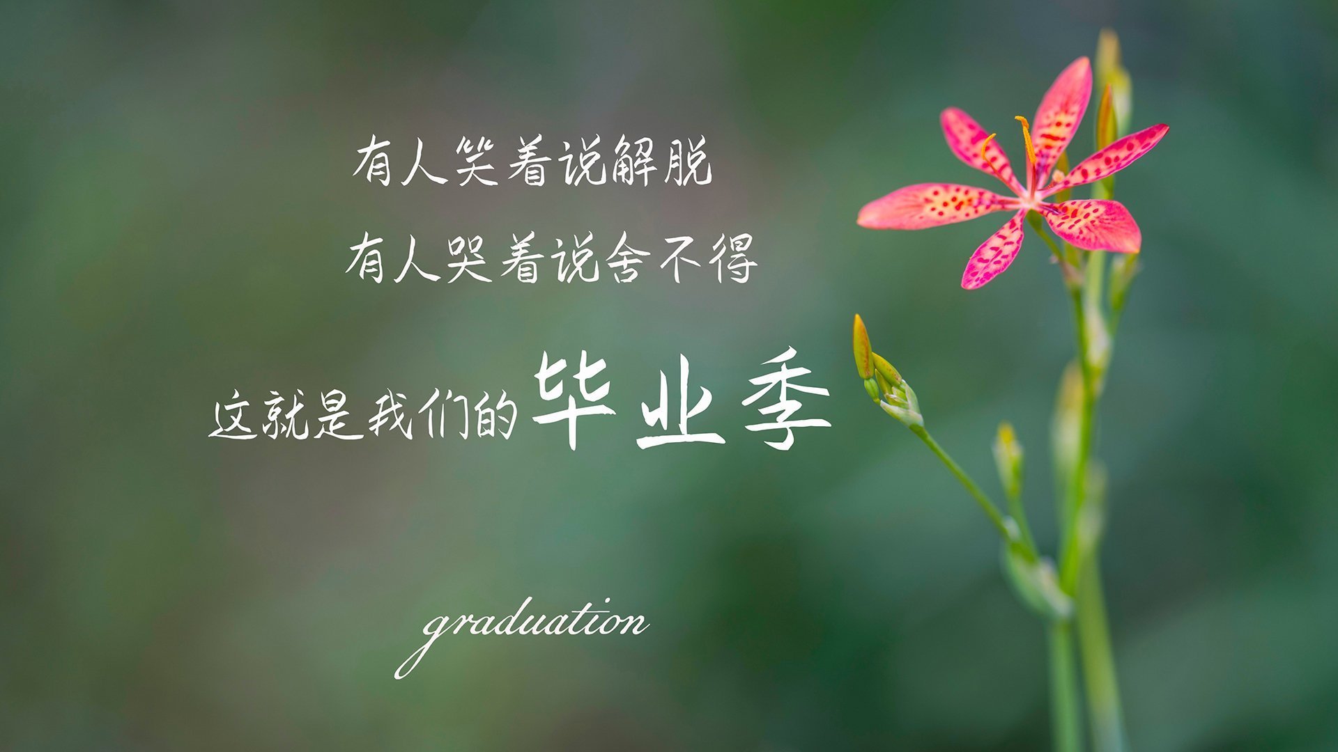 爱游戏GAMING平台-穿越火线 赛季末战队表现抢眼，cf赛季