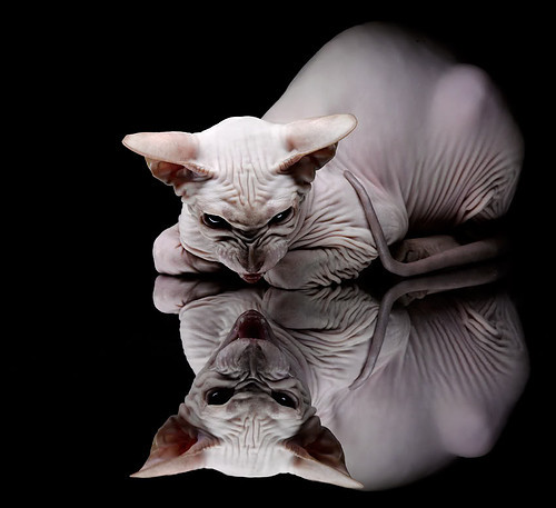 英超积分榜:争冠焦点逐渐清晰,前十名激烈追逐,英超积分榜情况