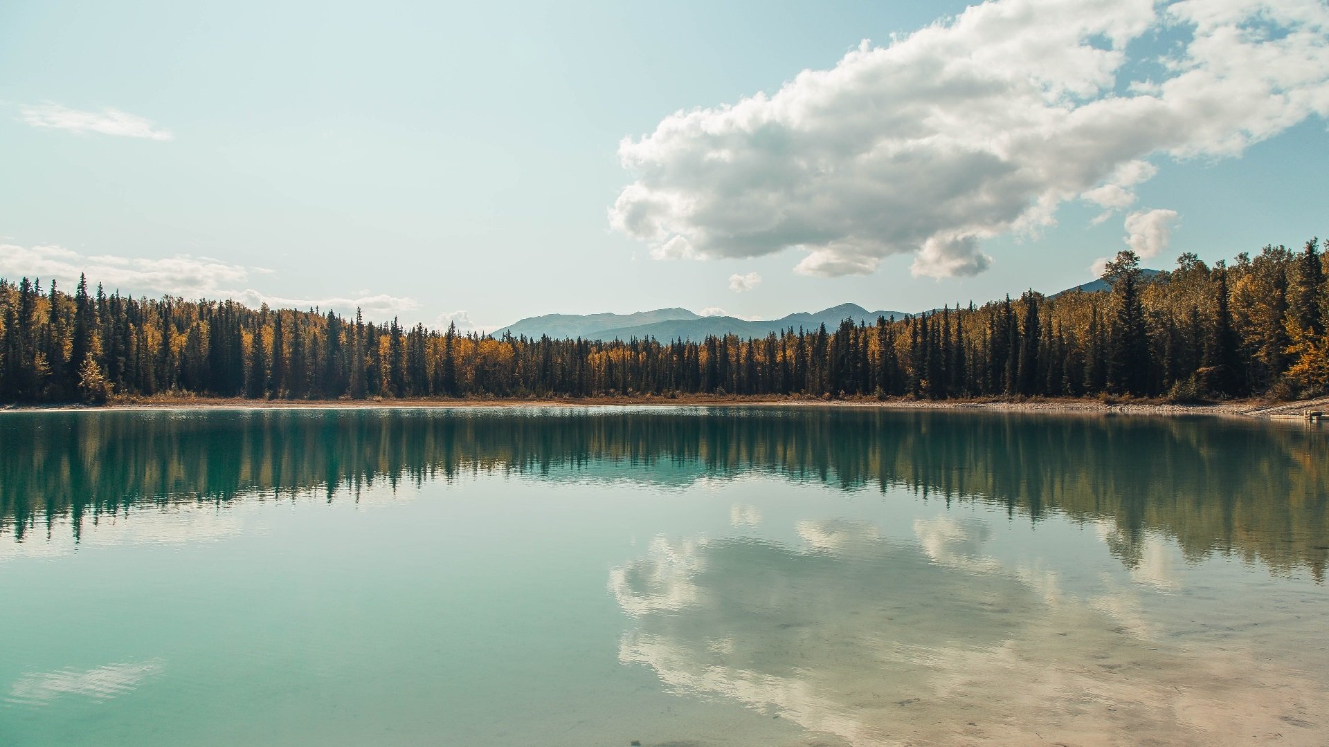 切尔西女足赞助商支持力度提升,切尔西女足队长