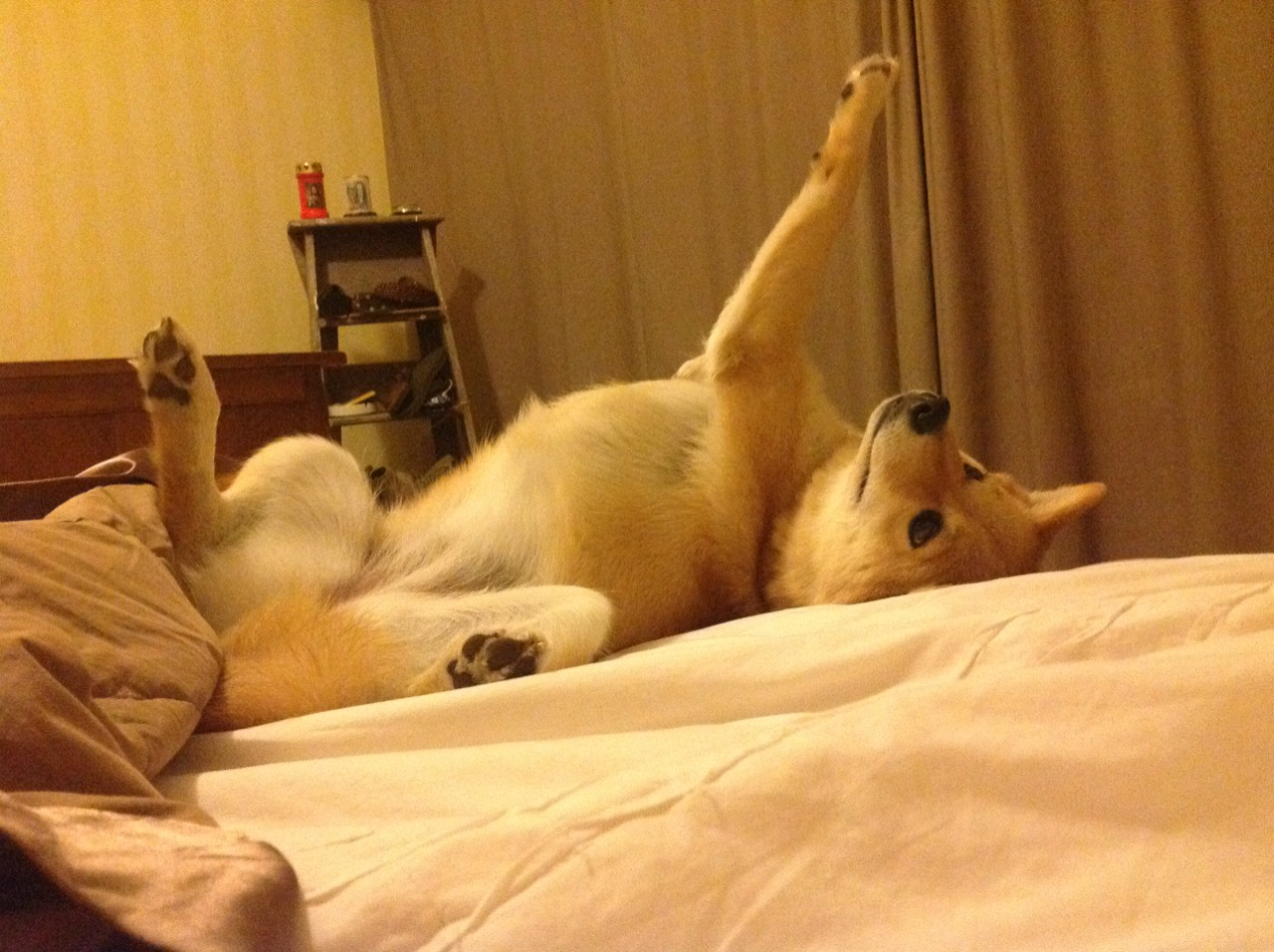 中国女篮借助科技提升战术复盘效率,中国女篮又出巨无霸