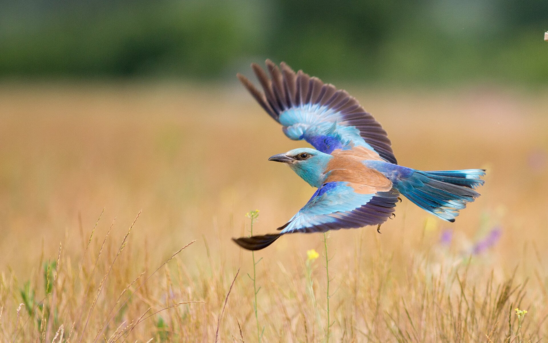 爱游戏入口-体育新闻中心推动基层体育数字内容生态体系建设，体育信息化建设