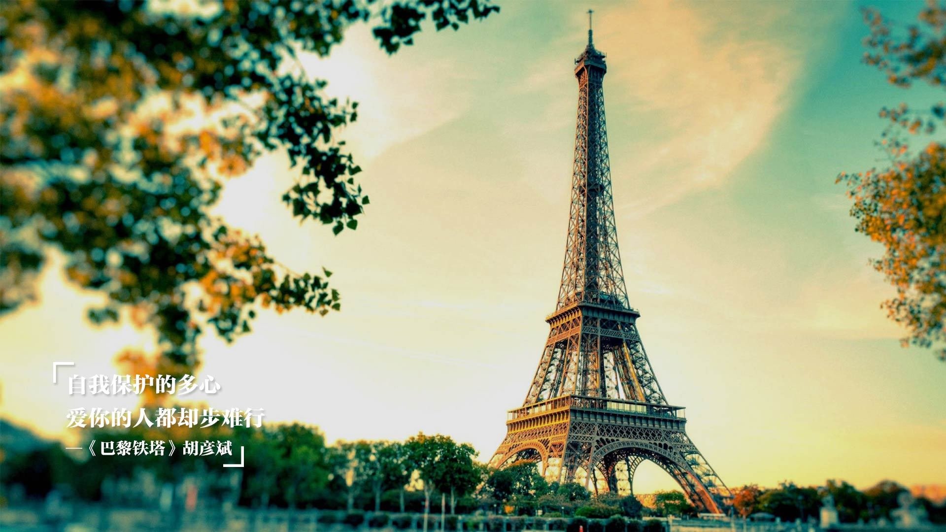 印度队2024年世界杯:从经验到信心的全面提升,印度1950世界杯